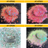 Arts & Craft : Jade Diamond Glitter