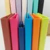 Mac_1 Binders : Macaron Budget Binders