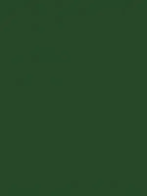 2005144 - Cricut Premium Vinyl Removable 30 5 cm x 122 cm (Forest Green)