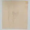Basswood Sheets 30cm by 27cm (Set of 2) for Cricut or Laser