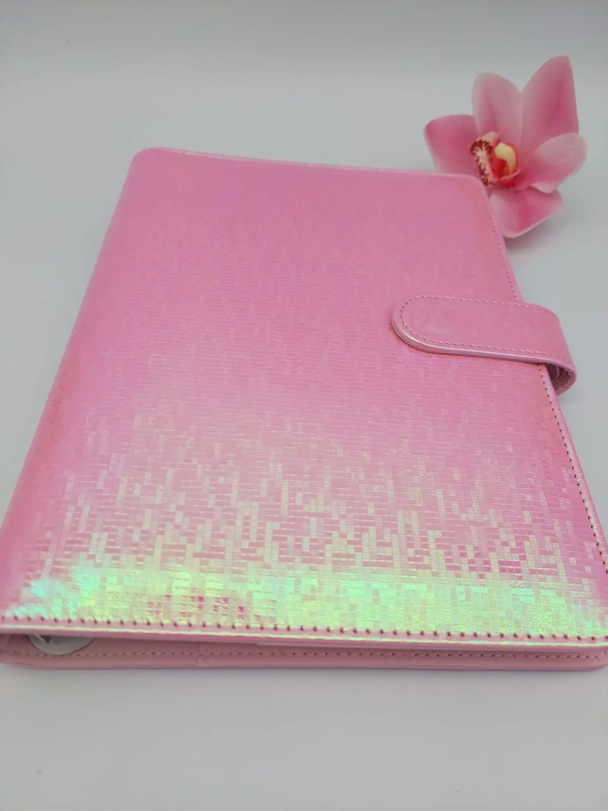 IrridesentBinder_Blush Budget Binders : A5 Iridescent Budget Binders