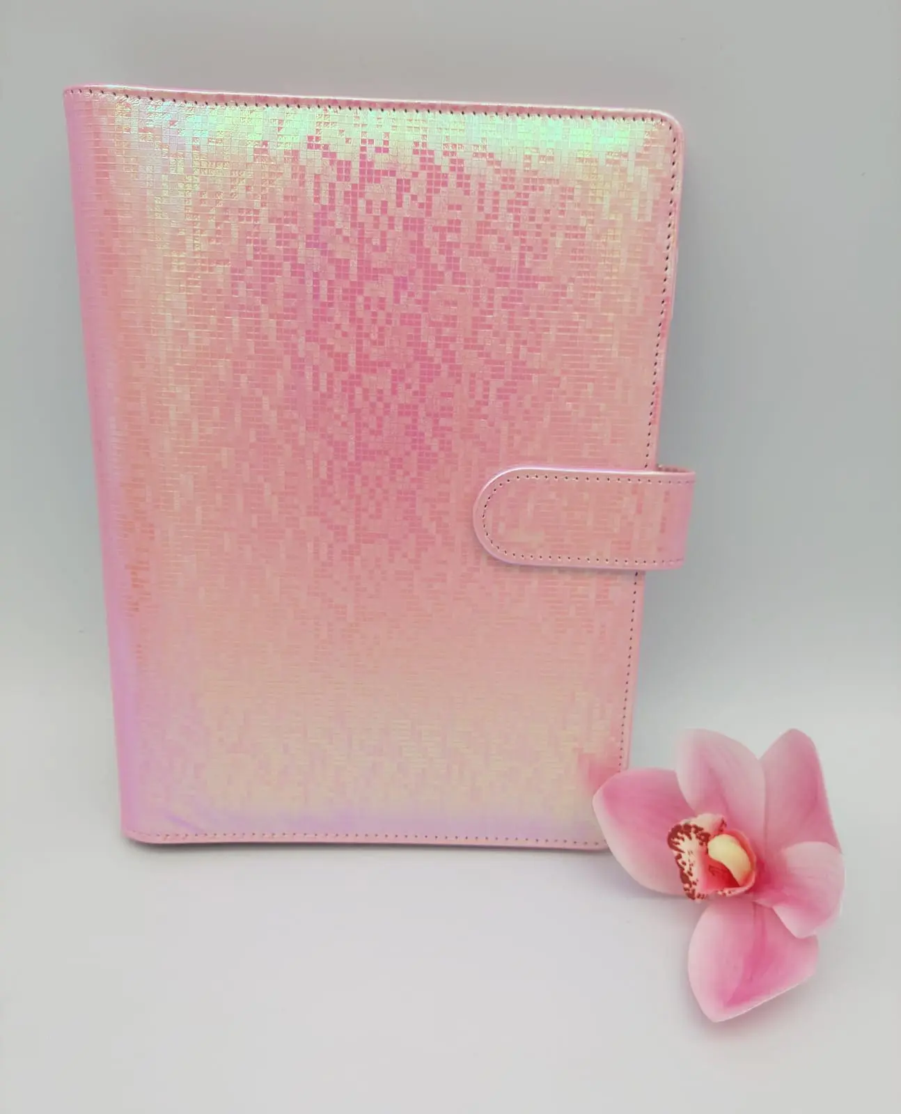 IrridesentBinder_Blush3 Budget Binders : A5 Iridescent Budget Binders