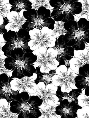 1 Sublimation Blanks Infusible Ink Transfer Sheets : (6) Black & White Anemone Floral Fantasy