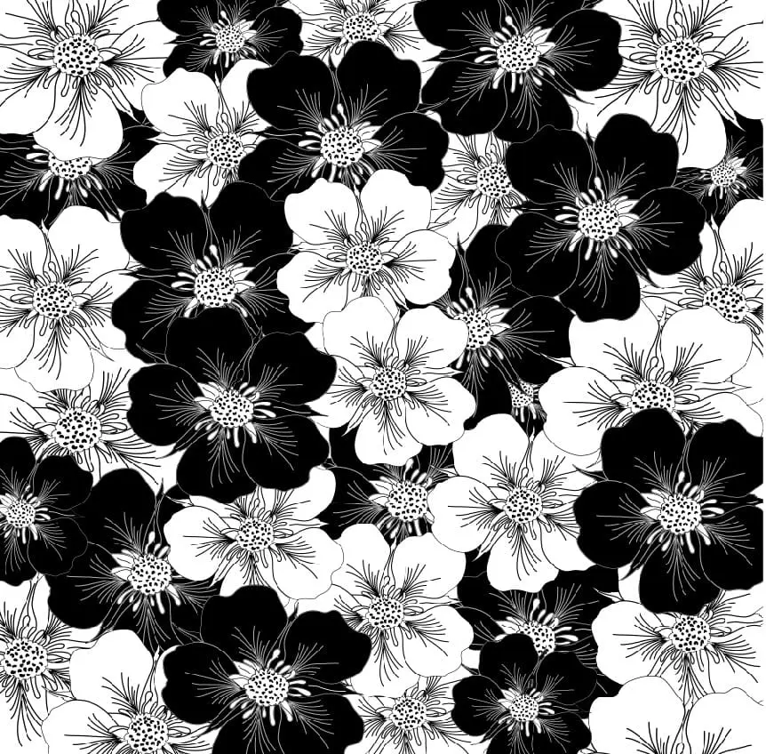 1 Sublimation Blanks Infusible Ink Transfer Sheets : (6) Black & White Anemone Floral Fantasy