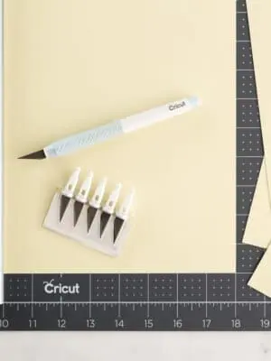 2004843 - Cricut TrueControl Knife Kit (Blue) with 5x spare blades  