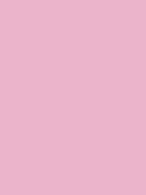 92006022 4601053489 2008624 - Cricut Smart Vinyl Permanent 33x91cm 1 sheet (Light Pink)