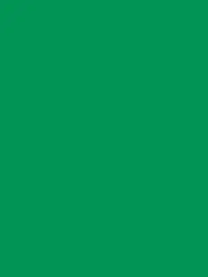 92006137 6912455791 2008638 - Cricut Smart Vinyl Removable 33x91cm 1 sheet (Grass)