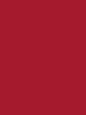 92006214 7477089108 2008653 - Cricut Smart Vinyl Removable 33X366Cm 1 Sheet (Red)