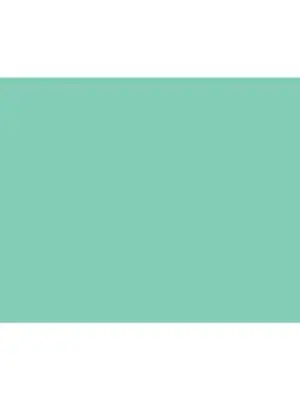 2005219 - Cricut Premium Vinyl perm 30x120cm (Pastel Green)