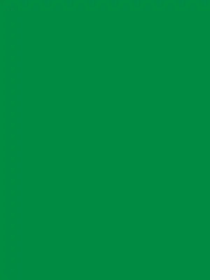 Cc-prem-vinyl-rem-gn.. 7sgi 2004312 - Cricut Premium Vinyl Removable 30 5 cm x 122 cm (Green)
