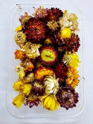 Epoxy, Soap & Candle Art : Dried Flowers (DF12)