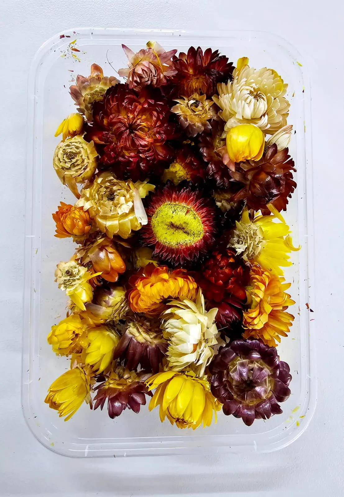 Epoxy, Soap & Candle Art : Dried Flowers (DF12)