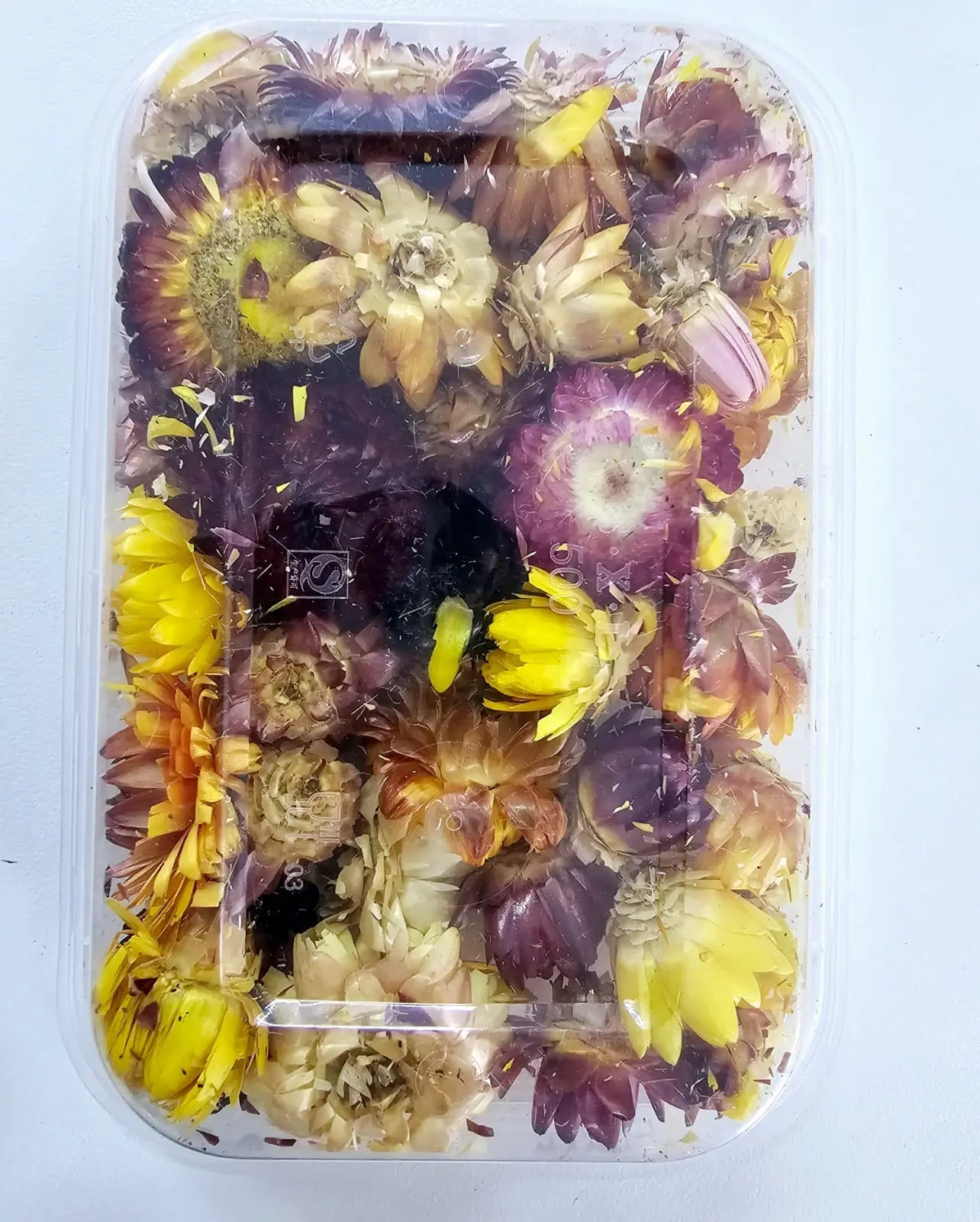Epoxy, Soap & Candle Art : Dried Flowers (DF12)