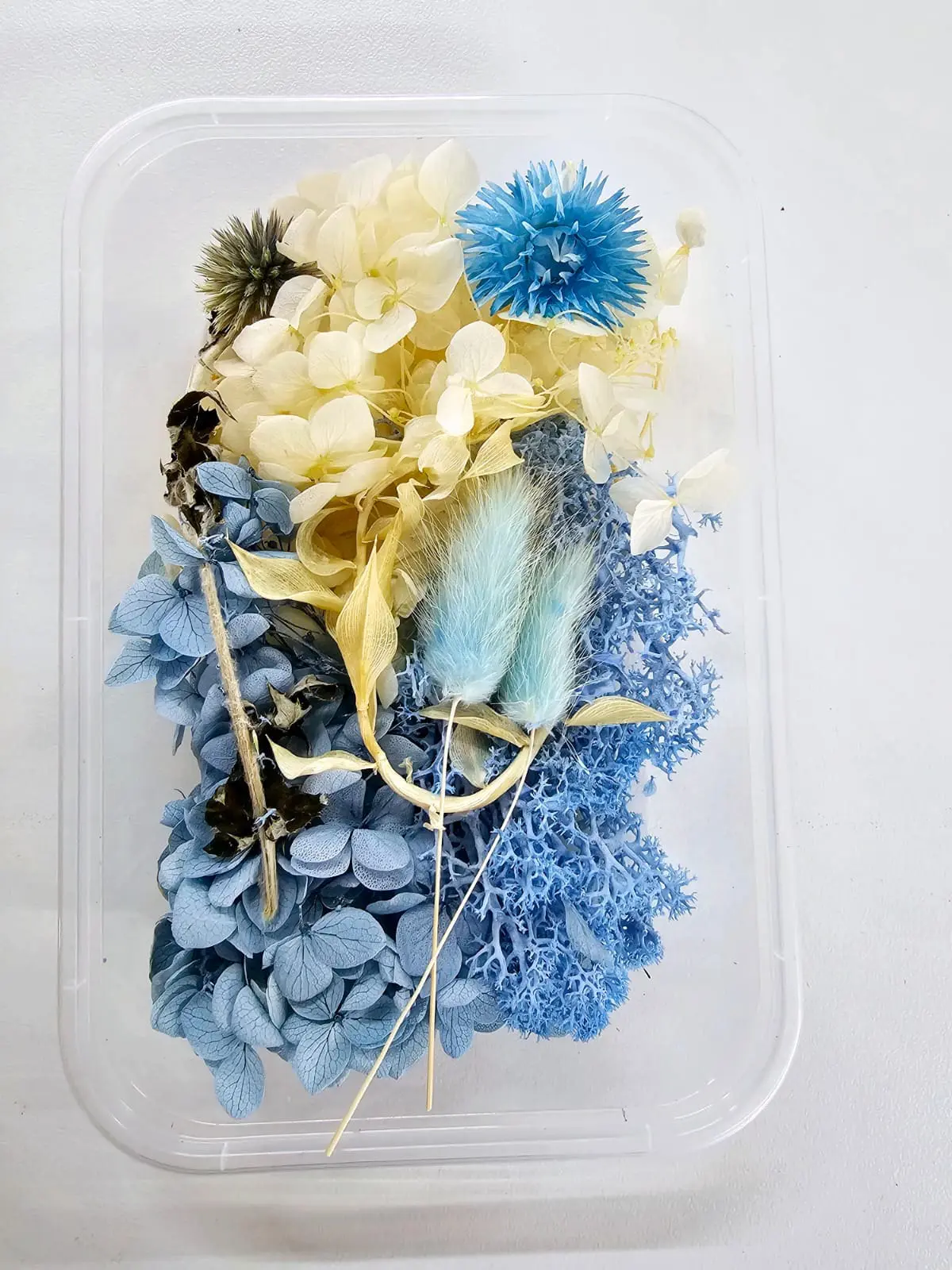 DF13A Epoxy, Soap & Candle Art : Dried Flowers (DF13)