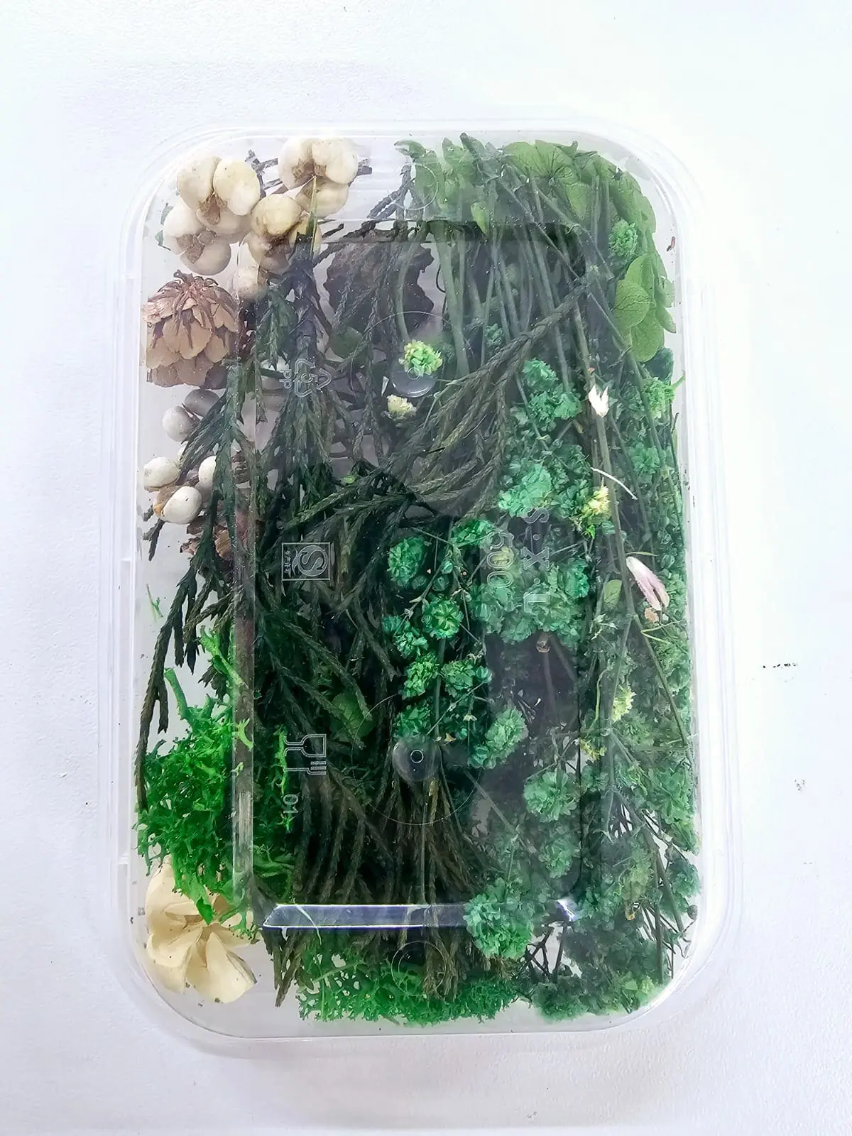 Epoxy, Soap & Candle Art : Dried Flowers (DF14)