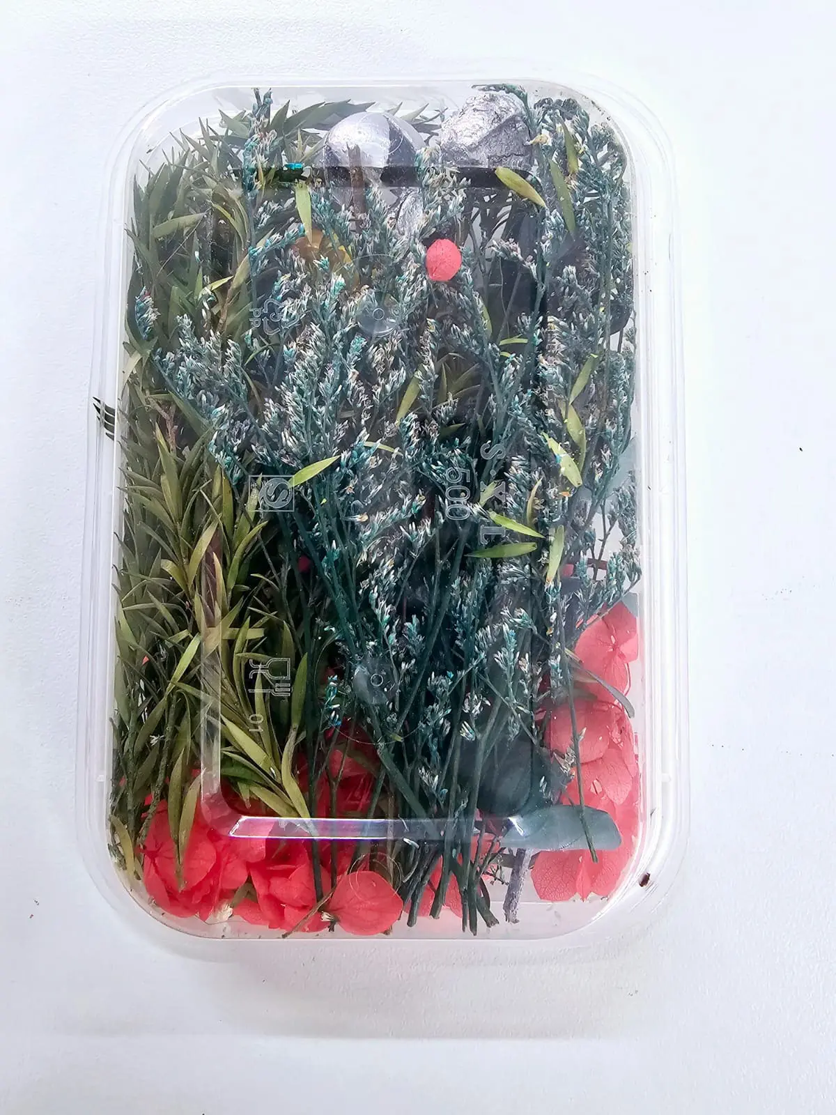 DF15B Epoxy, Soap & Candle Art : Dried Flowers (DF15)
