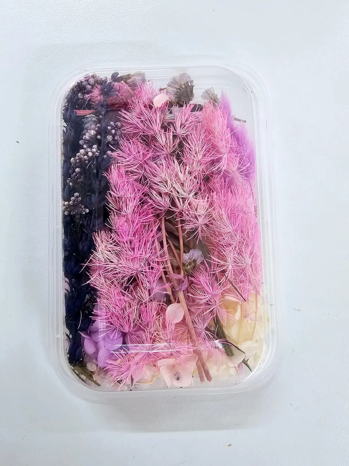 Epoxy, Soap & Candle Art : Dried Flowers (DF18)