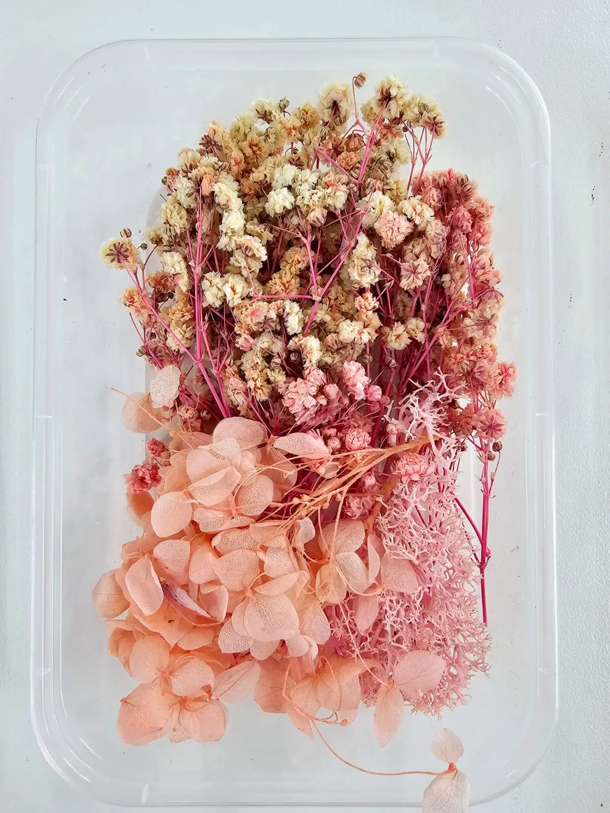 Epoxy, Soap & Candle Art : Dried Flowers (DF1)