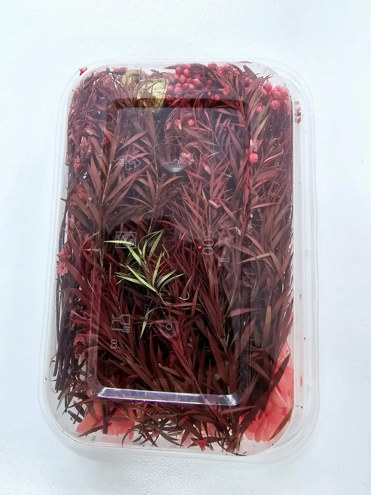 Epoxy, Soap & Candle Art : Dried Flowers (DF21)
