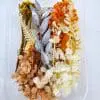 Epoxy, Soap & Candle Art : Dried Flowers (DF23)