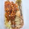 Epoxy, Soap & Candle Art : Dried Flowers (DF23)