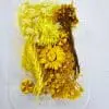Epoxy, Soap & Candle Art : Dried Flowers Dried (DF4)