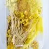 Epoxy, Soap & Candle Art : Dried Flowers Dried (DF4)