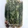 Epoxy, Soap & Candle Art : Dried Flowers (DF6)