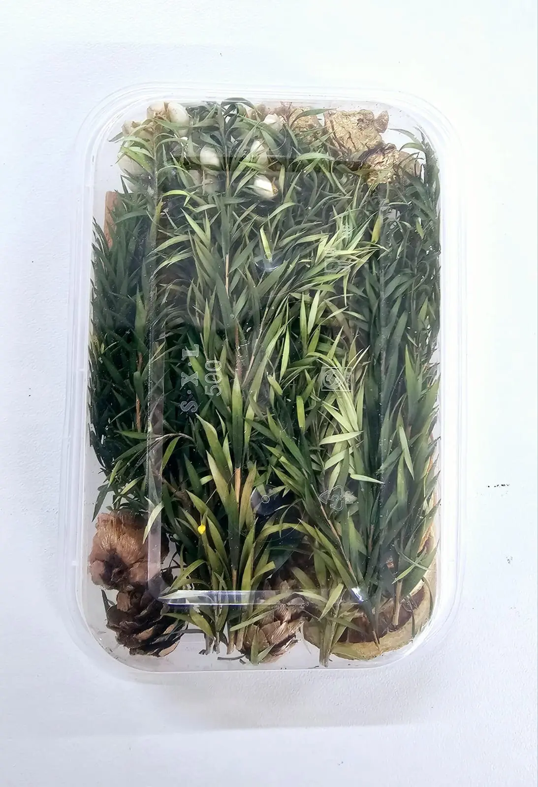 Epoxy, Soap & Candle Art : Dried Flowers (DF6)