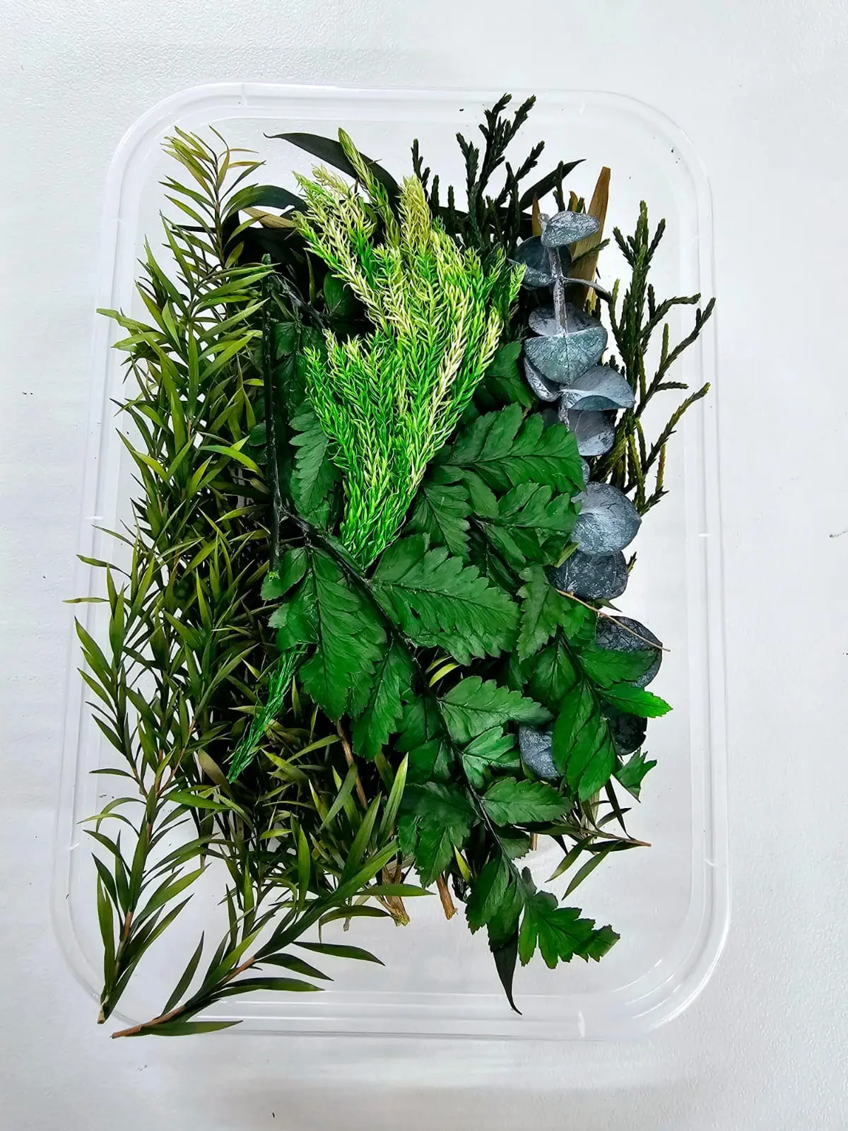 Epoxy, Soap & Candle Art : Dried Flowers (DF9)