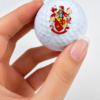 Golf_CGPT 3D UV Printer : Direct Print onto Golf Balls