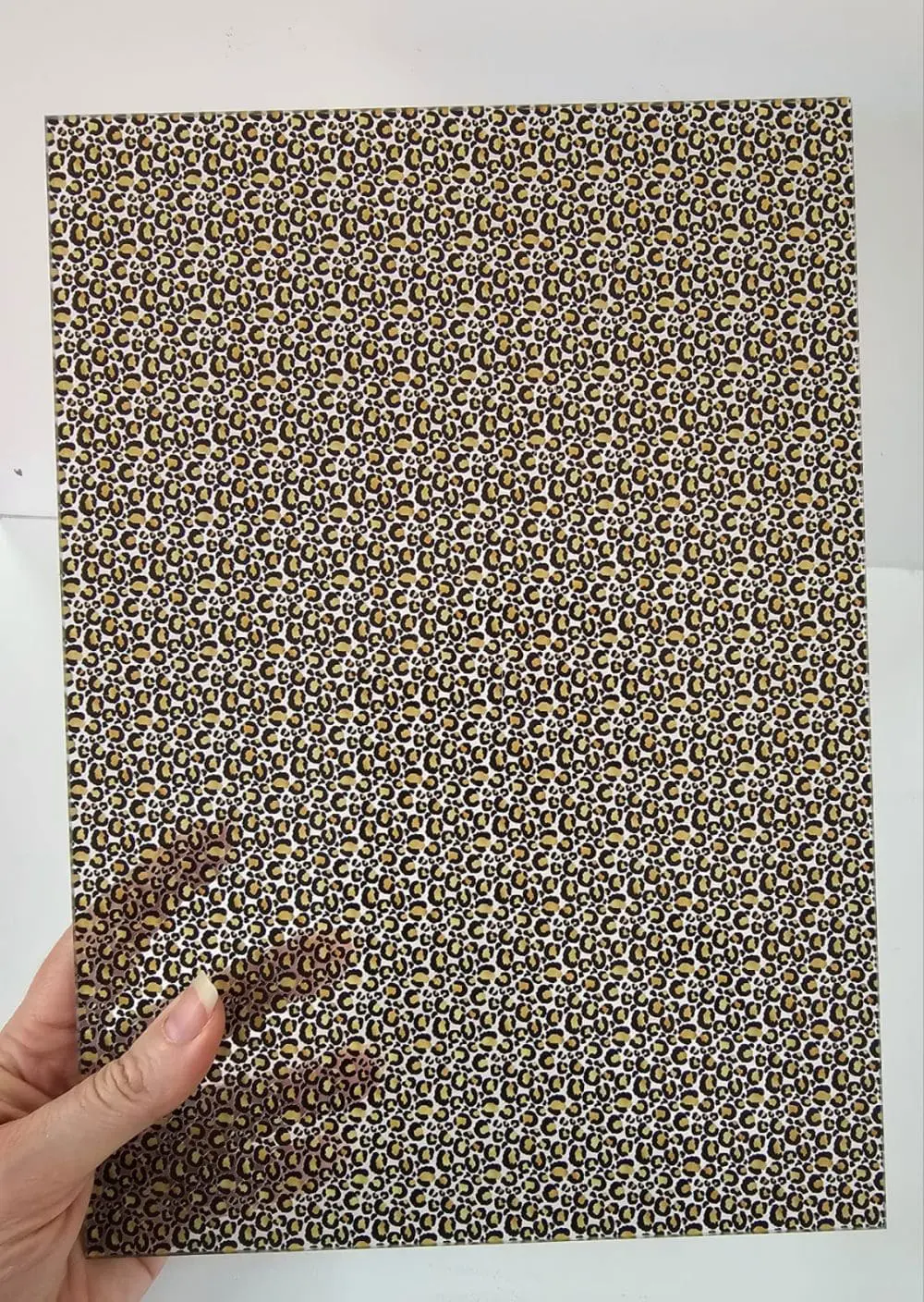 A4 Lepoard Print 01 SS Reverse Print on CLEAR FRONT b Acrylic Blanks : Patterned LEOPARD PRINT 04 Clear Boards (A6, A5, A4, 30 by 30cm, A3 Single Sided Only)