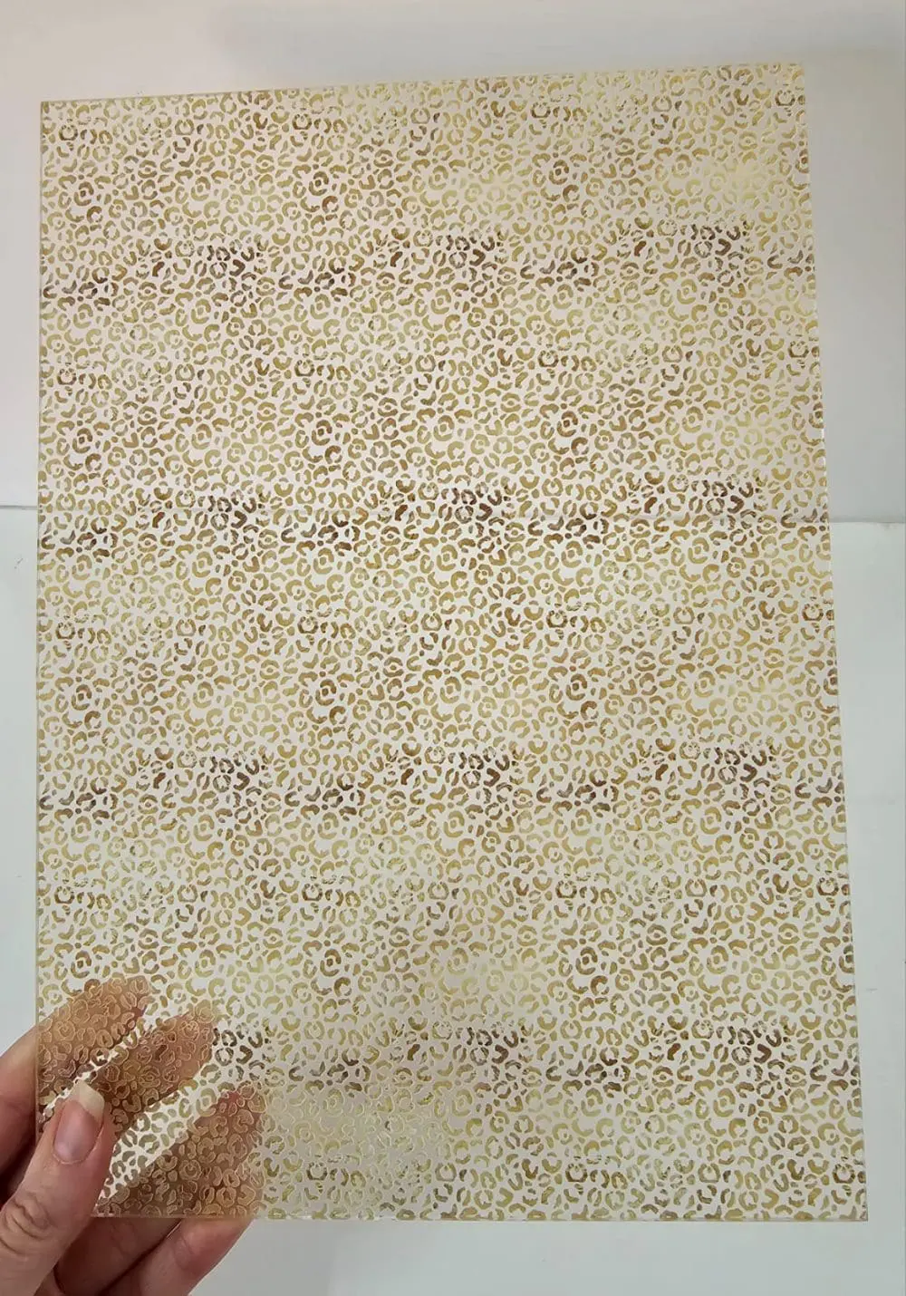 A4 Lepoard Print 01 SS Reverse Print on CLEAR FRONTa Acrylic Blanks : Patterned LEOPARD PRINT 02 Clear Boards (A6, A5, A4, 30 by 30cm, A3 Single Sided Only)