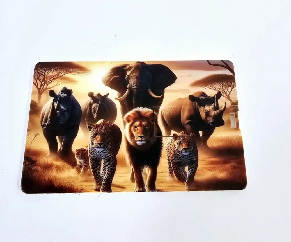 Credit Card USB1 Technology : White Credit Card USB Drive, 8gigs (Blank or UV Print)
