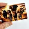 Credit CardUSBUSB2 Technology : White Credit Card USB Drive, 8gigs (Blank or UV Print)