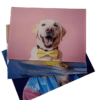 Laser Sublimation Blanks : 3mm or 4mm Subli-Acrylic Boards (13cm by 25cm)