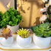 3PieceFlowerPot13 Resin & Epoxy : 3 Piece Floral/Pot Plant Silicone Mould (3 Sizes) [Code TU184_A)