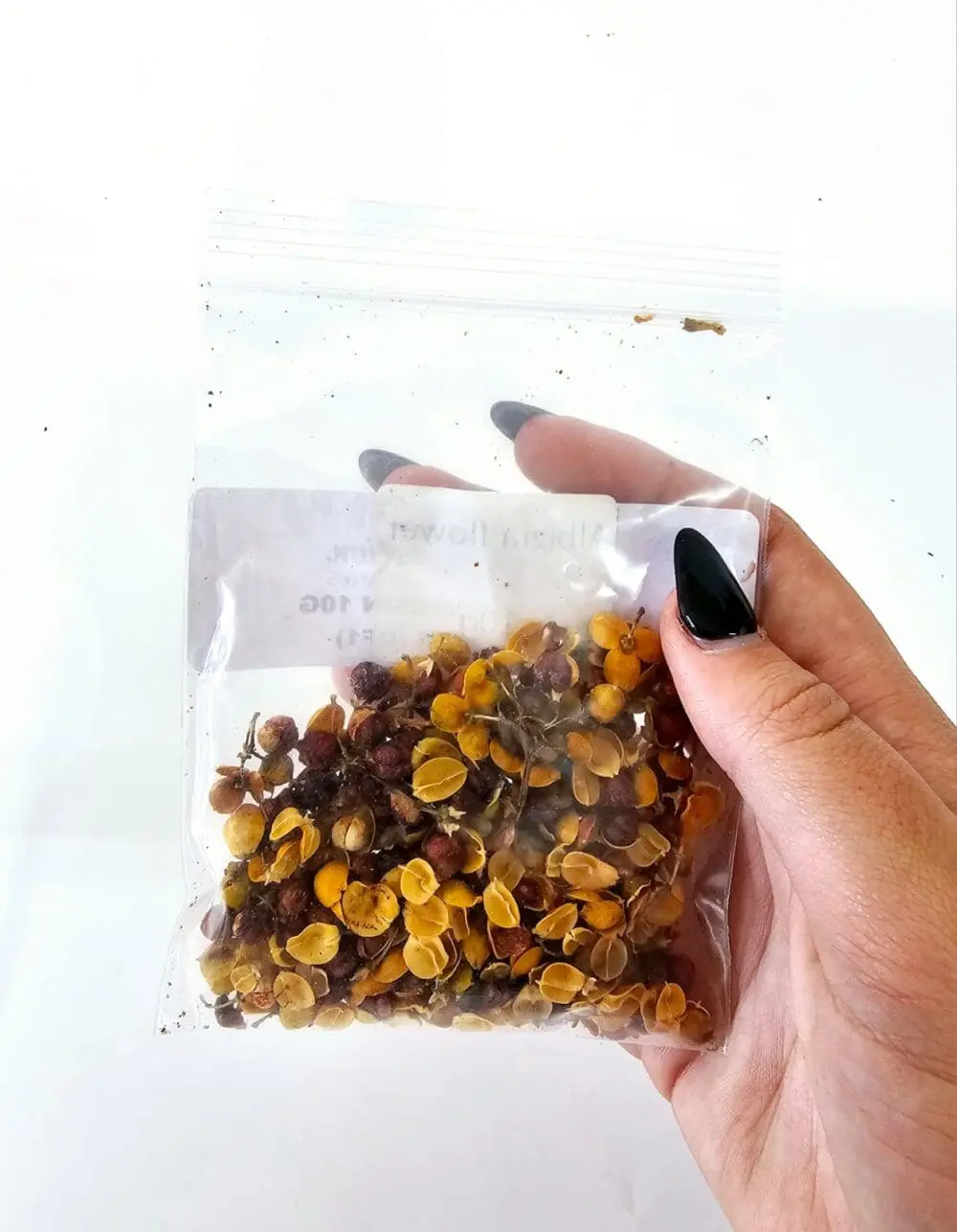 Albizia Julibrissin DF1 Epoxy, Soap & Candle Art : Albizia Julibrissin in a bag (DF1)