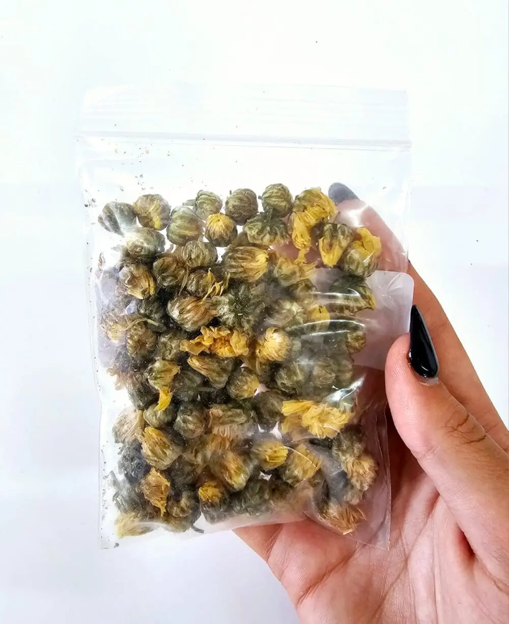 Chrysanthemum Buds DF3 Epoxy, Soap & Candle Art : Chrysanthemum Buds in a bag (DF3)
