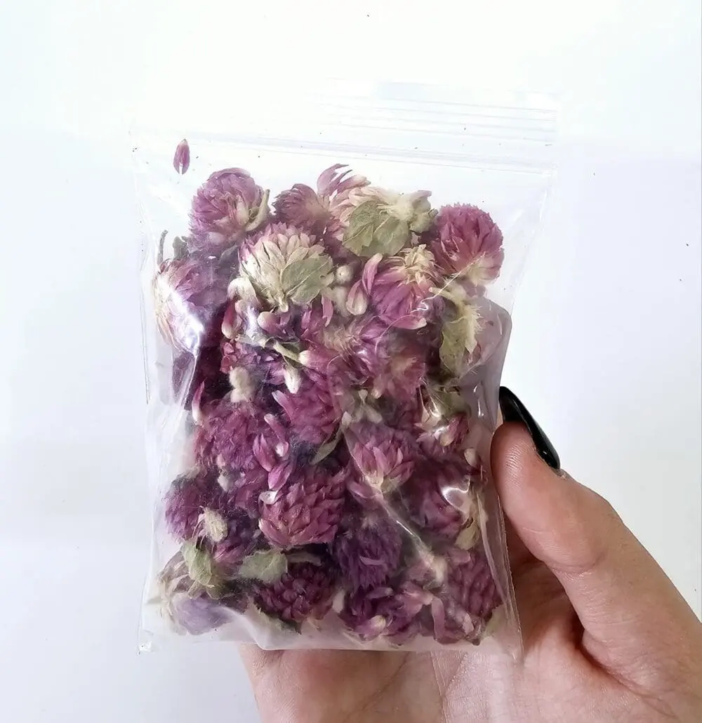 Gomphrena DF6 Epoxy, Soap & Candle Art : Gomphrena in a bag (DF6)