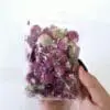 Gomphrena DF6 Epoxy, Soap & Candle Art : Gomphrena in a bag (DF6)