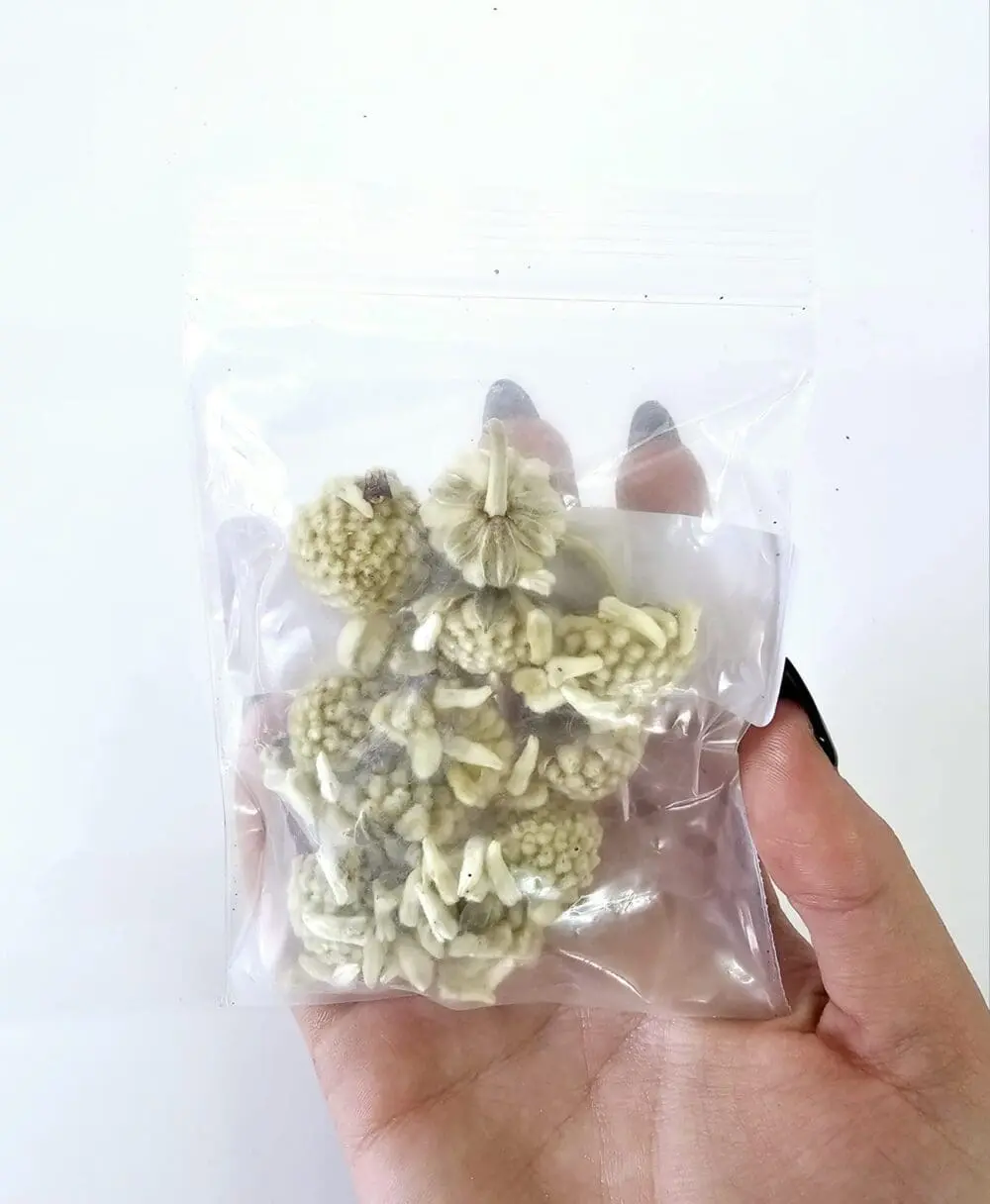 Epoxy, Soap & Candle Art : Mallow in a bag  (DF11)