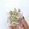 Epoxy, Soap & Candle Art : Mallow in a bag  (DF11)
