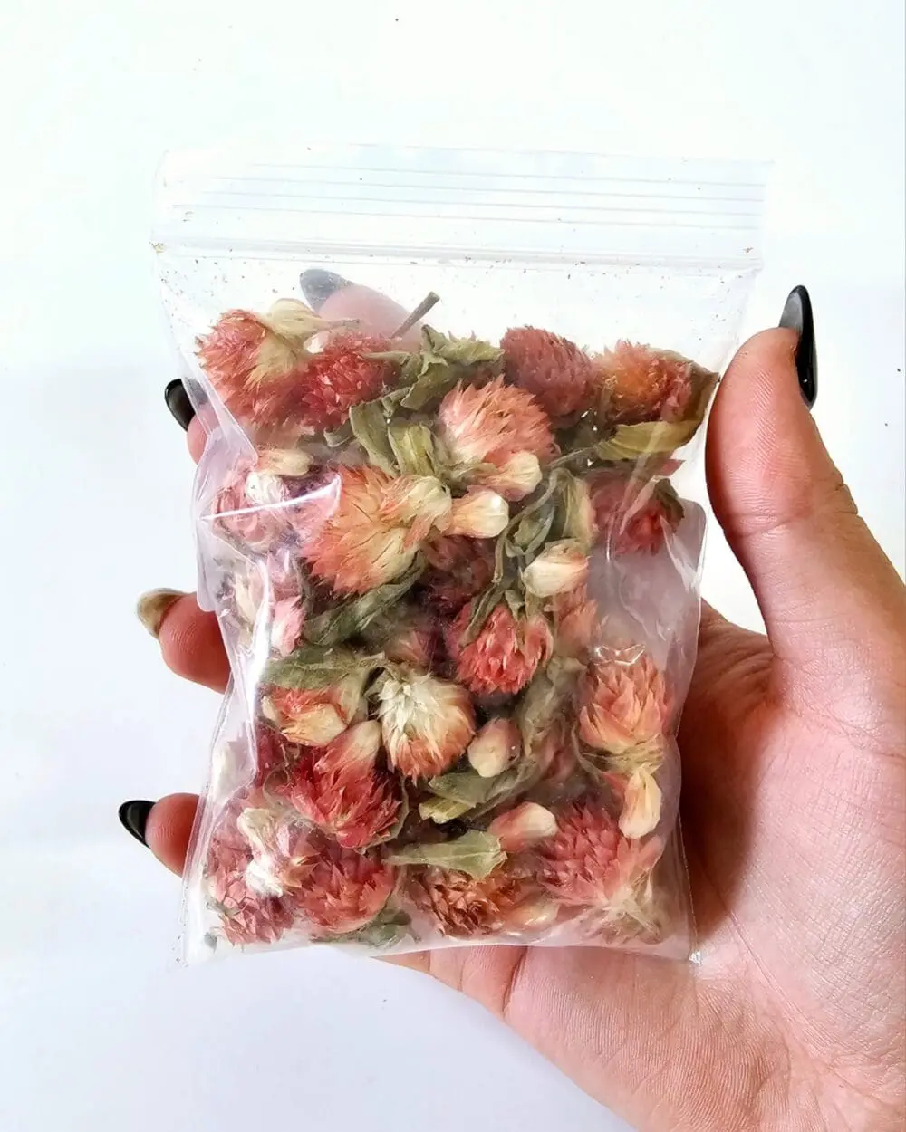 Red Plum DF13 Epoxy, Soap & Candle Art : Red Plum in a bag (DF13)