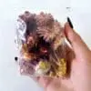 Epoxy, Soap & Candle Art : Strawflower Iin a bag (DF16)