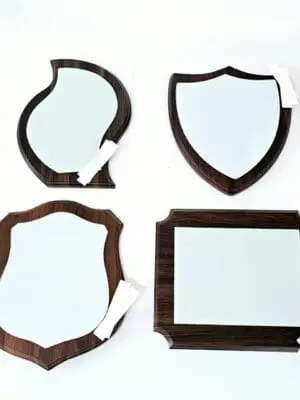 Award/Trophy : Wooden Glass Trophies (TTX)