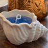 Silicone Moulds : Conch Shell Silicone Mould (Csea1)