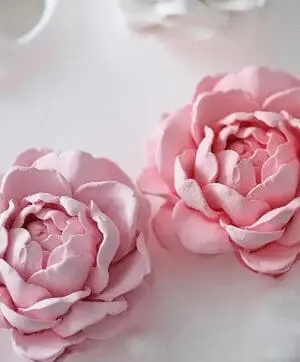Silicone Mould : 3-D Jasmine Flower Silicone Mould (JSMF)