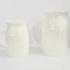Sublimation Blanks : White Ceramic Milk Jug (TTX)