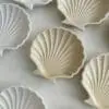 Silicone Moulds : Silicone Ocean Shell Tray Mould (OTM)